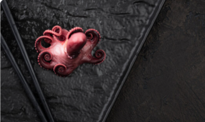 Octopus Intelligence: The Alien Mind Evolving Right Here on Earth